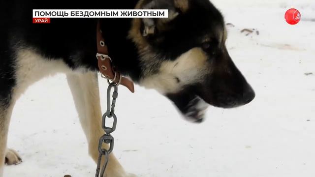 Проблемы и перспективы центра 101 дворянин. 26-01-2024 смотреть онлайн