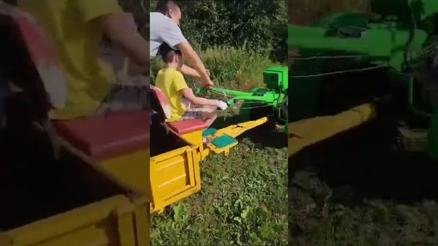 Племянник в помощь