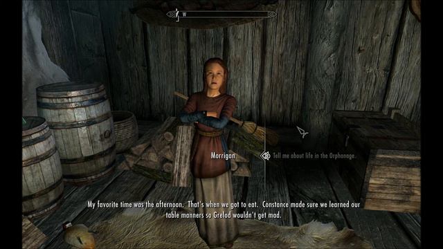Interesting NPCs - Morrigan смотреть онлайн
