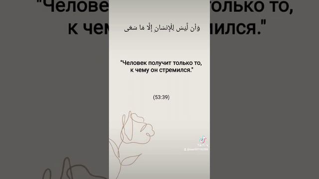 #иман #ислам #хадис #знания #islam #коран #сунна #вера #счастье #вера #жизнь #благойнрав #аяты #аят смотреть онлайн