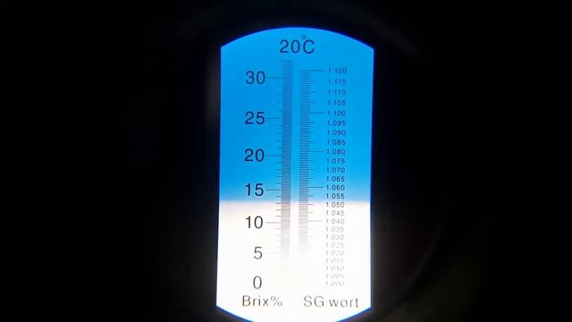 Собираем урожай винограда во Владимирской области. Северное виноградарство. смотреть онлайн