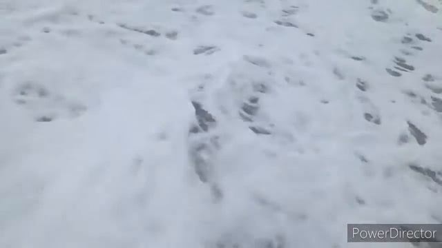 Море волнуется раз... смотреть онлайн