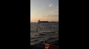 Хорошая рыбалка