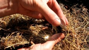 Как разжечь костер с помощью увеличительного стекла