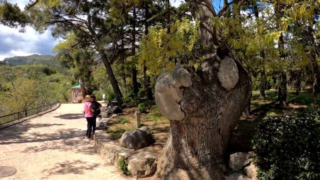 Крым. Никитский Ботанический Сад весной. Легенда Южного Берега во всей красе. Что нового? смотреть онлайн