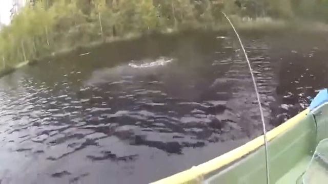 Эпичная рыбалка смотреть онлайн