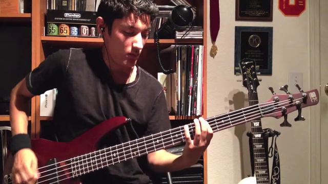 Lostprophets | It's Not The End Of The World But I Can See It From Here [Bass Cover] смотреть онлайн