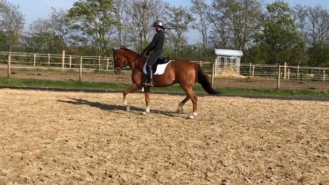 video flet смотреть онлайн