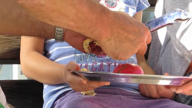 Чистка гранатов по методу Майка смотреть онлайн