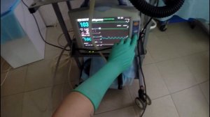 Вся жизнь в перчатках