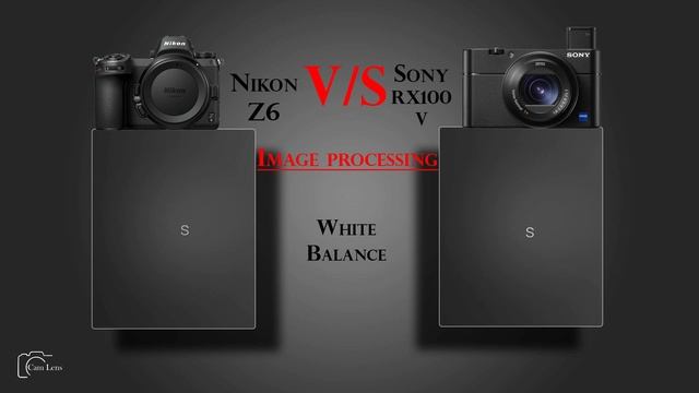 Nikon Z6 vs Sony DSC RX100 V смотреть онлайн
