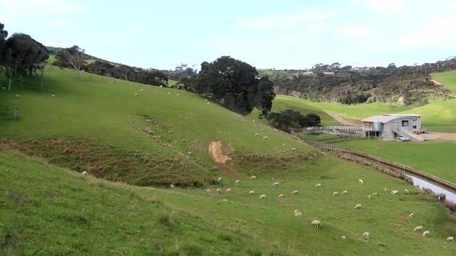 ВИРТУАЛЬНАЯ ПРОГУЛКА. НОВАЯ ЗЕЛАНДИЯ. WAIHEKE ОСТРОВ. ХАЙКИНГ смотреть онлайн