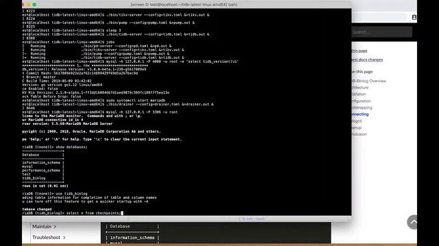 TiDB Binlog Tutorial смотреть онлайн