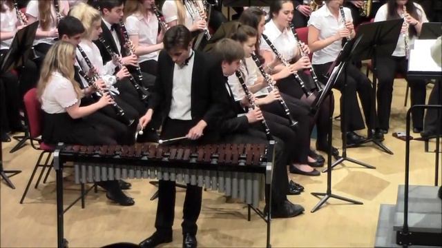 Helter Skelter - Xylophone Solo By Stefan Beckett