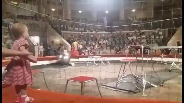 Благотворительный поход в цирк для детей-инвалидов смотреть онлайн