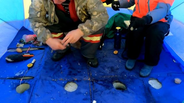 Красноярское водохранилище залив Шумиха. Отличный клев сороги.  Рыбалка в палатке. Январь 2023г.