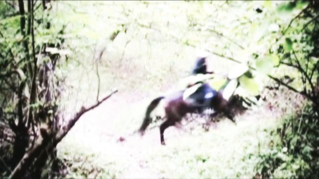 Мухамед Коблев-проект 