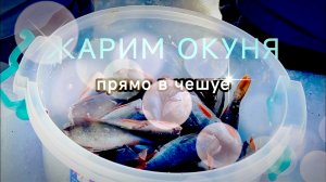 МЕГА РЕЦЕПТ! 
Жарим окуня прямо в чешуе!