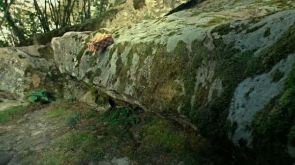 БУКАШКИ. ПРИКЛЮЧЕНИЕ В ДОЛИНЕ МУРАВЬЕВ с 29 мая в MORI CINEMA (0+)