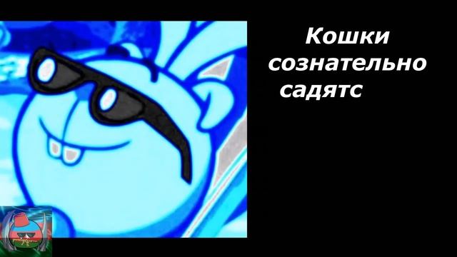 Почему спать с кошками полезно? смотреть онлайн