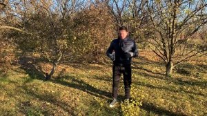 Как выбрать место для посадки плодового дерева