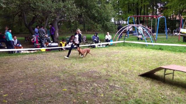 CACIB 2011.09.25 Vladivostok\Russia\Тайский риджбек смотреть онлайн