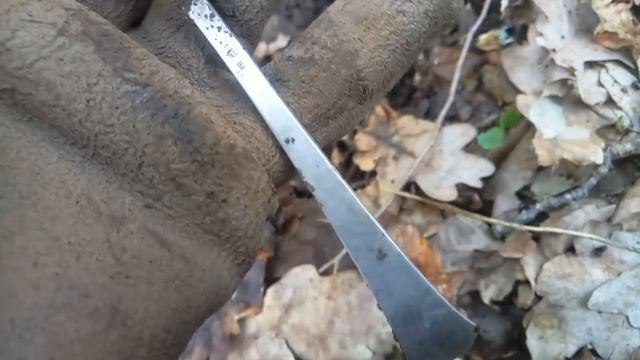 Серебро валит.Коп в Калининграде."Серебряный лес" смотреть онлайн