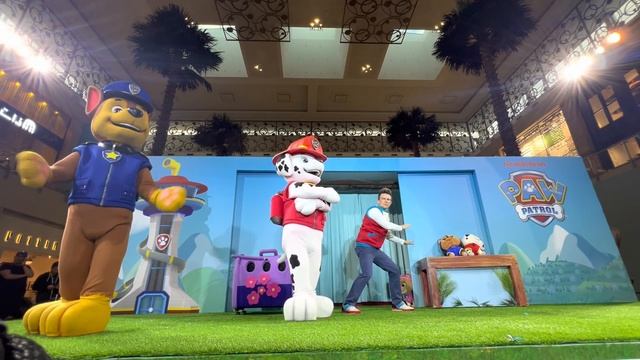 PAW Patrol Live ( Pups vs Kitten CAT-astrophes) #pawpatrol #nickelodeon смотреть онлайн