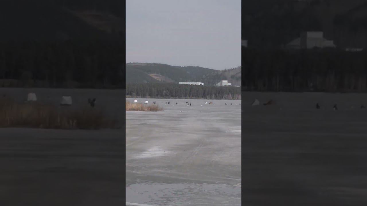 Фанатики рыбаки смотреть онлайн