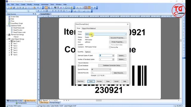 How to convert PDF file in BarTender Software | BarTender excel database file को कैसे convert करें смотреть онлайн