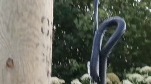 как я проводил электричество от опоры ( столба )сип 4 4-16 кабелем до эл. ящика.