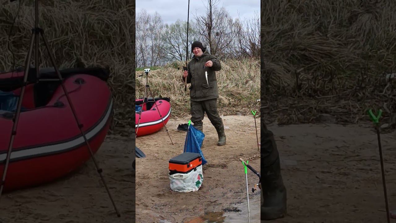 Рыбачим на фидер Ловим подлещика #fishing #shortvideo #рыбалка #fishingvideo смотреть онлайн
