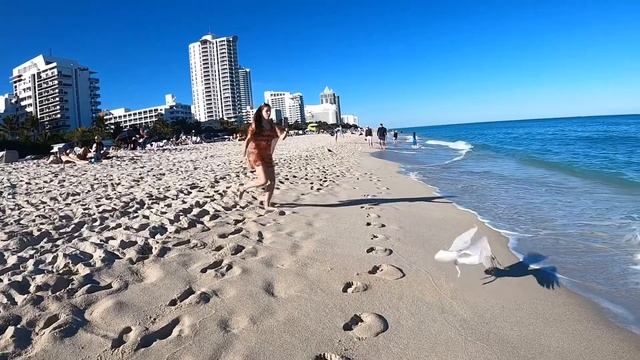 GoPro: hero 8 Slow Motion Miami Beach Birds in 4K Замедленная съёмка 4к Майами пляж ГоуПро 8 смотреть онлайн