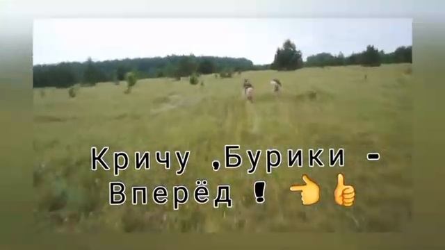 Гоняю Маламутов на скутере Honda Gyro Up ? смотреть онлайн