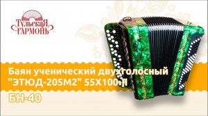 обзор ученического баяна "Этюд 205 M2" 55Х100-II