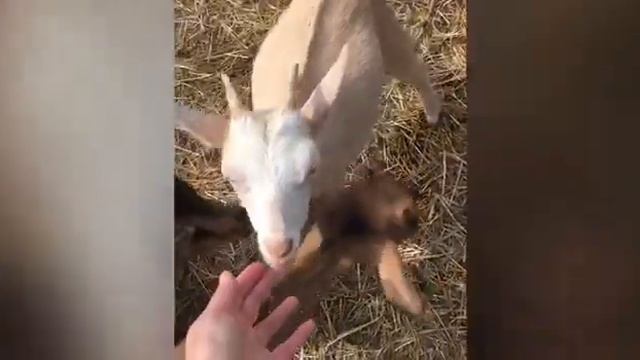 28 апреля 2023 г. смотреть онлайн