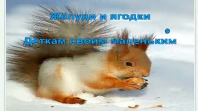 Караоке для детей Белка рыженький зверёк смотреть онлайн