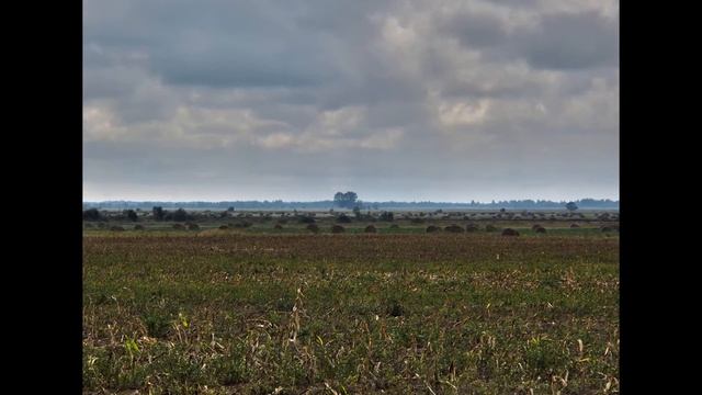 Первая неделя путешествия по Беларуси смотреть онлайн