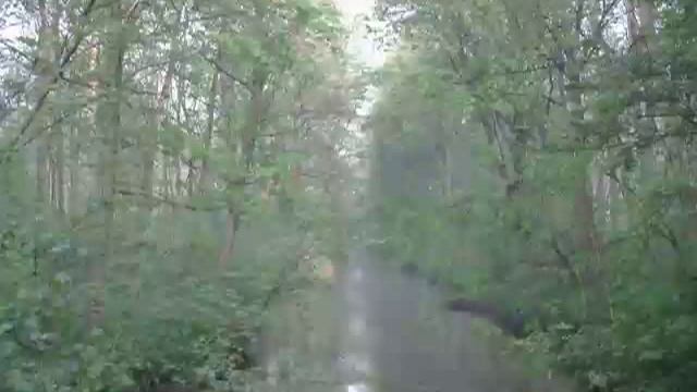 Josef Haydn - Deutscher Tanz смотреть онлайн