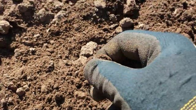 Вот так бы ВСЕГДА!!! В КАЙФ КОПАТЬ НА ТАКОМ ПОЛЕ. Много находок. Коп 2022. Влад TV. смотреть онлайн
