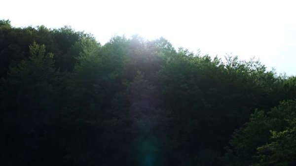 Giolì & Assia - #DiesisLive @The Forest Sundown, Nebrodi Park (VEVAL.RU)