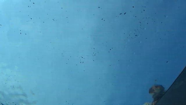 Хайнянь?Атлантис❤️? Аквапарк Atlantis Sanya?❤️Aguaventure Water Park?? смотреть онлайн