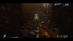 Биология Лицехвата