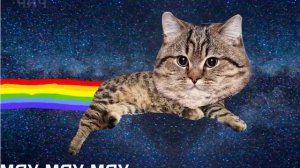 СОСИ ПИСОС 2!! (КОТ ПИСОС Nyan Cat)