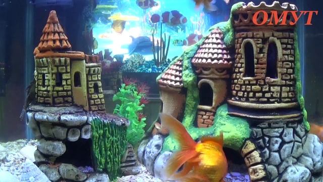 381. ПРИМЕТЫ ПО СНАМ И НЕ ТОЛЬКО...(4-ЧАСТЬ) смотреть онлайн