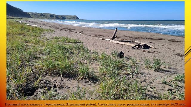 Тарантулы на Сахалине смотреть онлайн