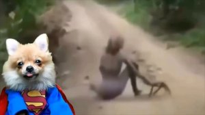 ЖУТКИЕ МОНСТРЫ на ДОРОГАХ! ЗЛОВЕЩИЕ УЖАСЫ на НОЧЬ Не испугайся ЧЕЛЕНДЖ ТикТок TikTok Валеришка Макс