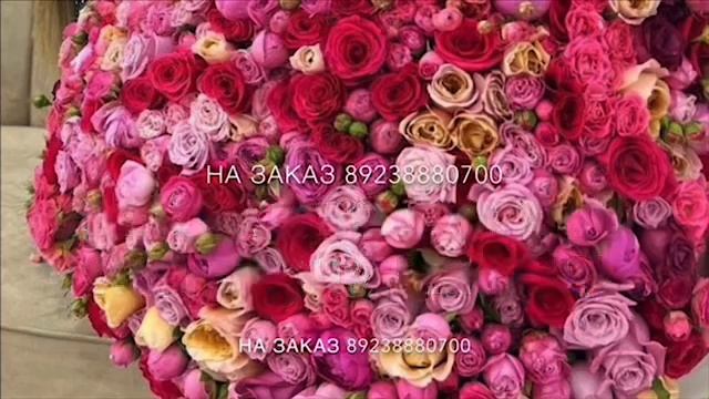 Дал декъал войла хьо нен-ваш? смотреть онлайн