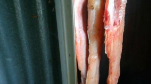 БАЛЫК ИЗ СОМА! ПРОСТОЙ РЕЦЕПТ!