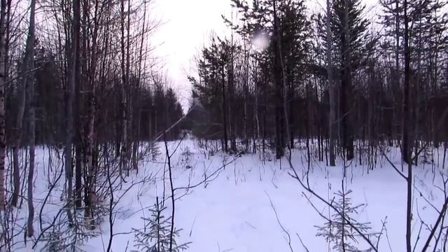 Как Колесников родителей благодарил/ Почему дети тупые?/ Света отрабатывает икру/ Обзор видео/ смотреть онлайн